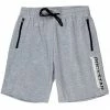 MENS SHORTS SHADOW SHORTS - GREY